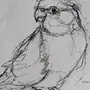 Рисунок птицы карандашом