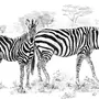Как нарисовать зебру