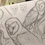 Рисунки про животных