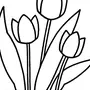 Рисунок 3 тюльпана