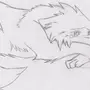 Как нарисовать аниме волка