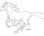 Как нарисовать бегущую лошадь