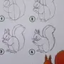 Как нарисовать белку ребенку