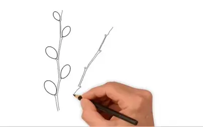 Как нарисовать вербу карандашом поэтапно для детей