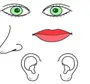 Как Нарисовать Глаза И Нос