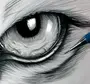 Как Нарисовать Глаза Собаки
