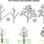 Как нарисовать весеннее дерево