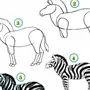 Как нарисовать зебру для детей