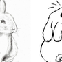 Как нарисовать кролика карандашом поэтапно для детей