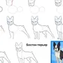 Нарисовать собаку карандашом поэтапно для начинающих