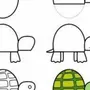Как нарисовать черепаху ребенку