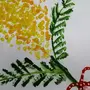 Как нарисовать мимозу
