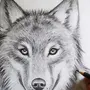 Волк рисунок легкий