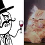Коты мемы рисунки