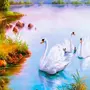 Лебедь на озере рисунок