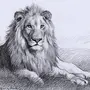Рисунок льва для срисовки
