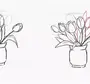 Букет тюльпанов рисунок карандашом