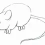 Мышь Рисунок Легкий