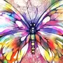 Бабочка Рисунок Красками