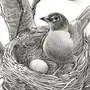 Гнездо с яйцами рисунок