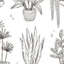 Нарисовать комнатное растение