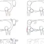 Как Нарисовать Корову