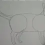 Кот карандашом поэтапно