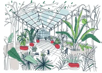 Нарисовать растения в ботаническом саду