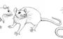 Мышь рисунок карандашом