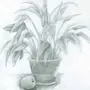 Растения в ботаническом саду рисунки