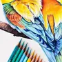 Рисунки Цветными Ручками