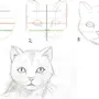 Как нарисовать мультяшного кота