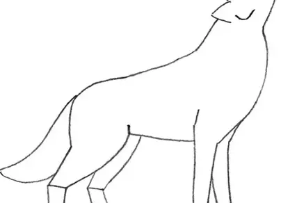 Волк рисунок для детей