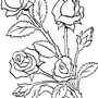 Роза На 8 Марта Рисунок
