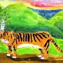 Амурский Тигр Рисунок Карандашом
