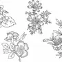 Рисунки Для Вышивки Цветы