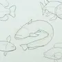 Нарисовать Рыбку
