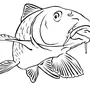 Рисунок рыбки для раскрашивания