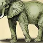 Слон картинка рисунок