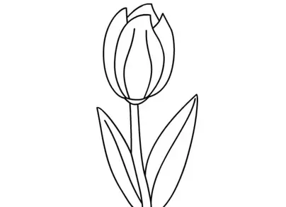 Тюльпаны рисунок для детей