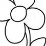 Как нарисовать простой цветок