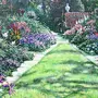 Английский сад рисунок