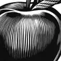 Рисунок яблоко для раскрашивания