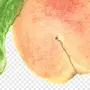 Как нарисовать персик