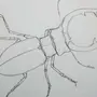 Нарисовать жука
