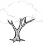 Как Легко Нарисовать Дерево