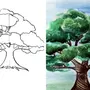 Как Легко Нарисовать Дерево