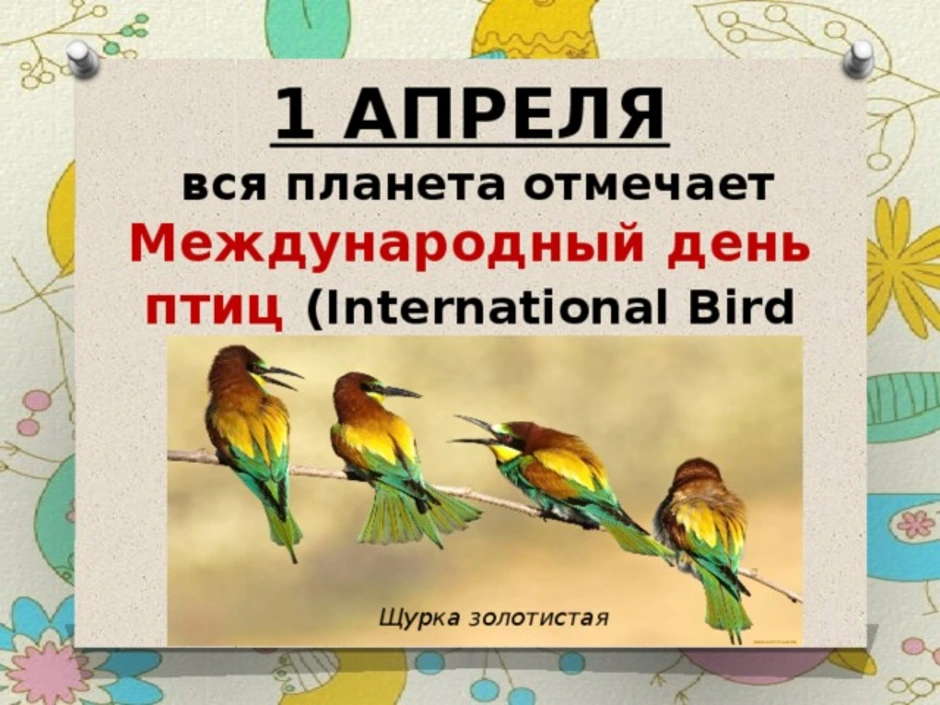 1 апреля день птиц картинки. Апрель день птиц. 1 Апреля Всемирный день птиц. 1 Апреля вся Планета отмечает Международный день птиц.. Международный день птиц о празднике для детей.
