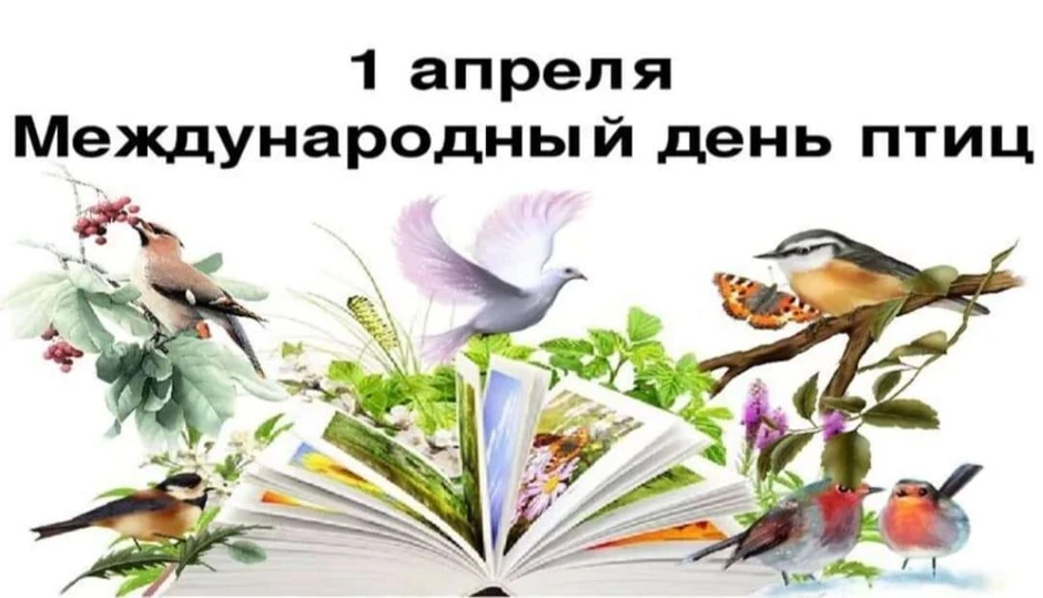 Международный птиц. Международный день птиц. 1 Апреля Международный день птиц. Международный день Пти. Всемирный день птиц для детей.