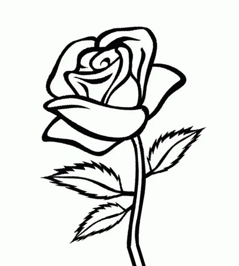 Рисунок розы , арт. ID136154
